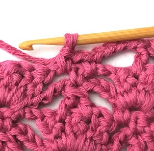 Flower and Triangle Crochet Stitch Photo Tutorial