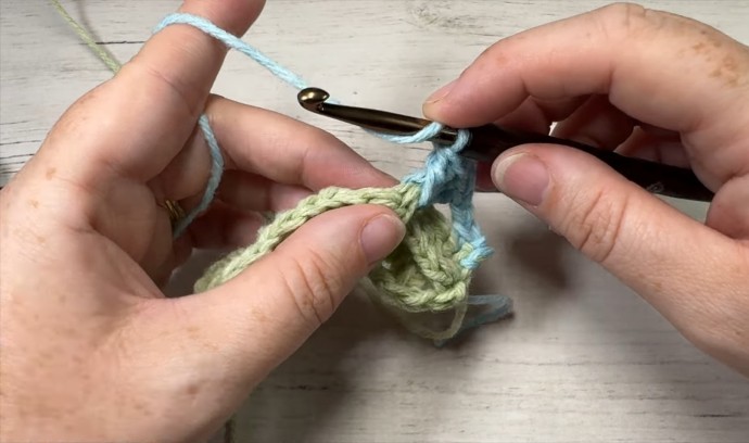 How to Crochet the Swallowtail Stitch Photo Tutorial