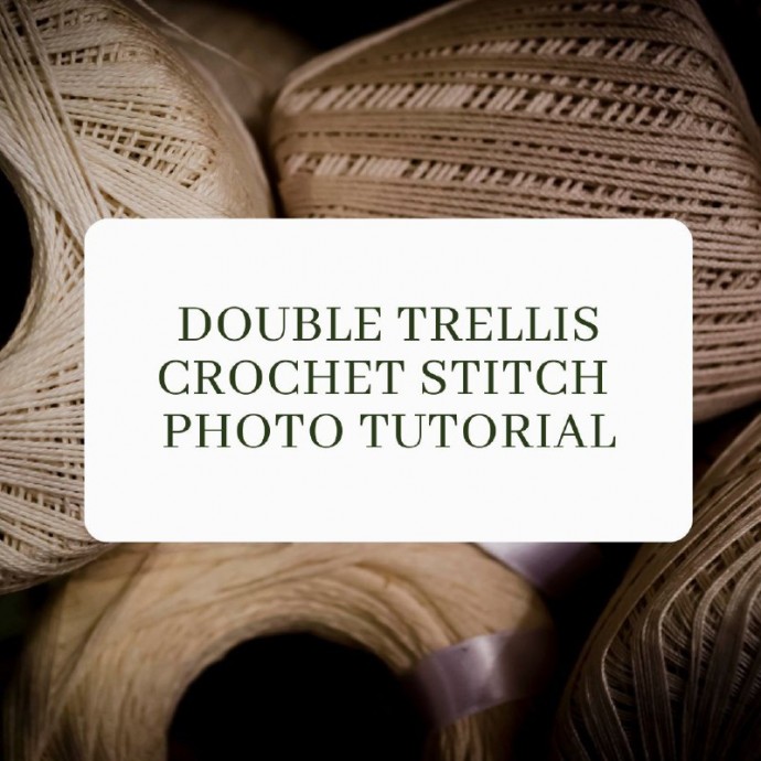 Double Trellis Crochet Stitch Photo Tutorial