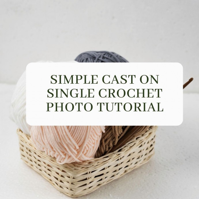 Simple Cast On Single Crochet Photo Tutorial