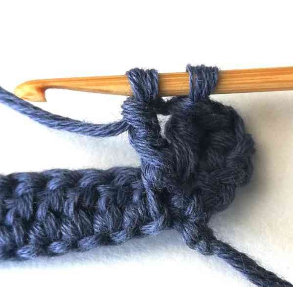 The Tipped Scales Crochet Stitch Photo Tutorial
