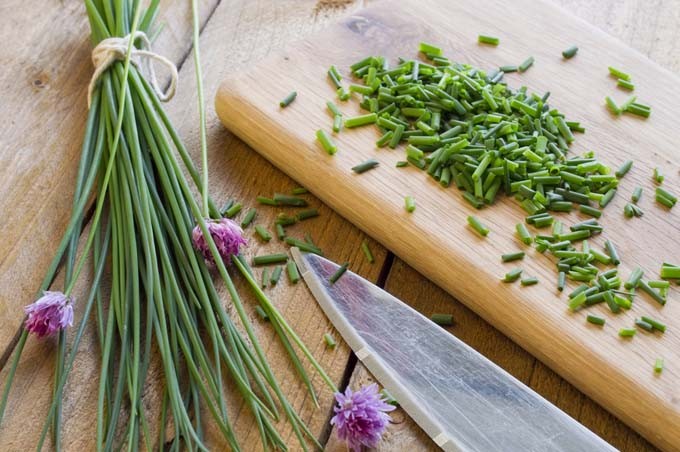 Guide to Fresh Herbs – Part 2