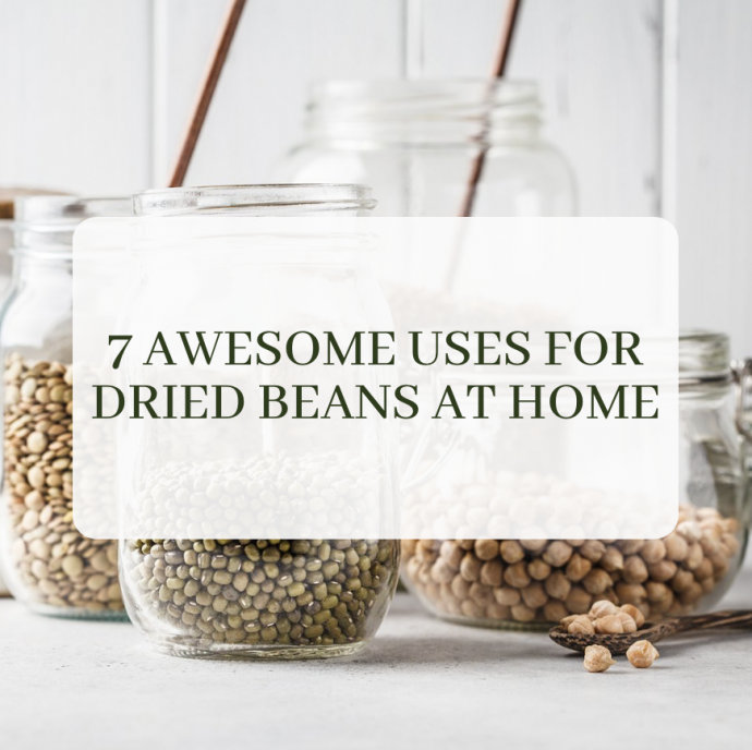 7 Awesome Uses for Dried Beans at Home