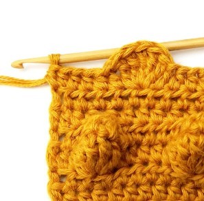 Chestnut Crochet Stitch Photo Tutorial