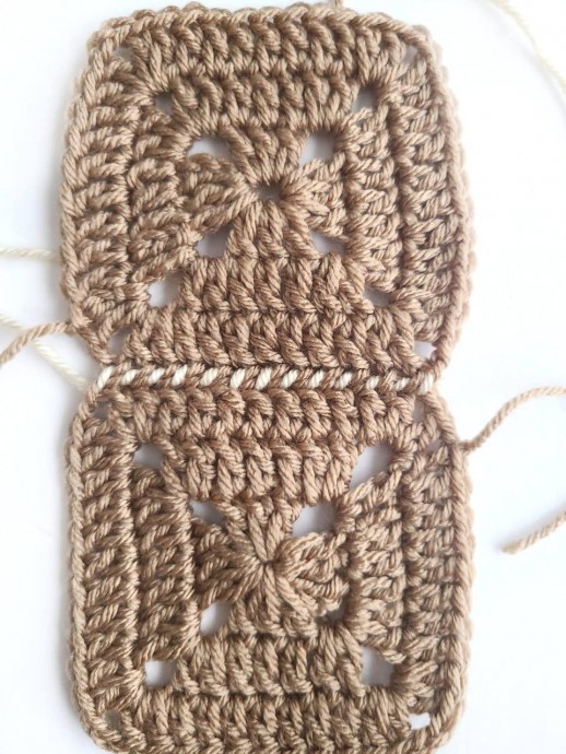 Whip Stitch Crochet Technique