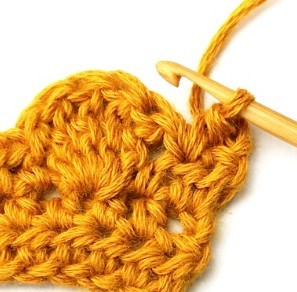 Chestnut Crochet Stitch Photo Tutorial