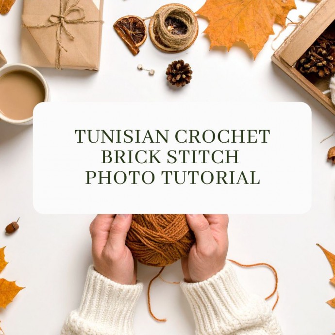Tunisian Crochet Brick Stitch Photo Tutorial