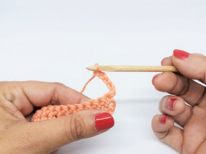 How to Crochet a Flower Border Photo Tutorial