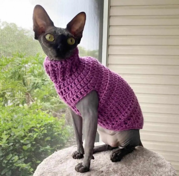 Crochet Cat Sweater