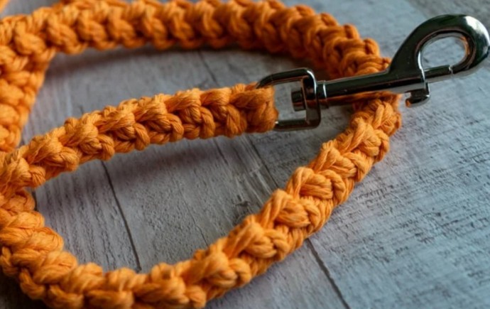 How to Crochet a Dog Leash