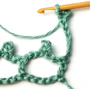 Wild Net Crochet Stitch Photo Tutorial