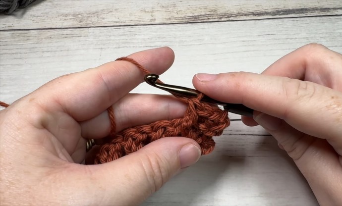 Crossed Double and Post Stitch Photo Tutorial