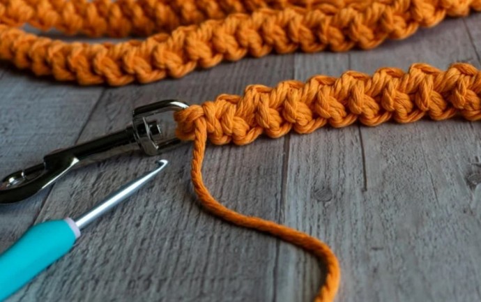 How to Crochet a Dog Leash