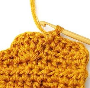 Chestnut Crochet Stitch Photo Tutorial