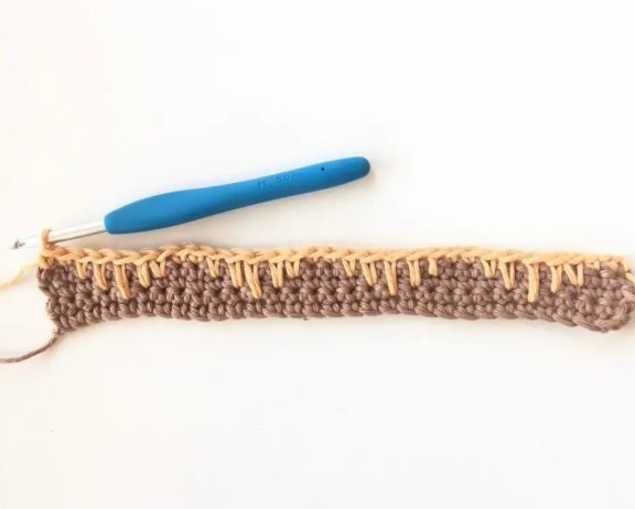 Spike Crochet Stitch Photo Tutorial