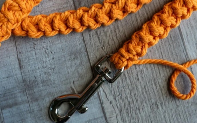 How to Crochet a Dog Leash