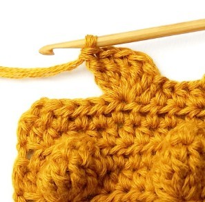 Chestnut Crochet Stitch Photo Tutorial