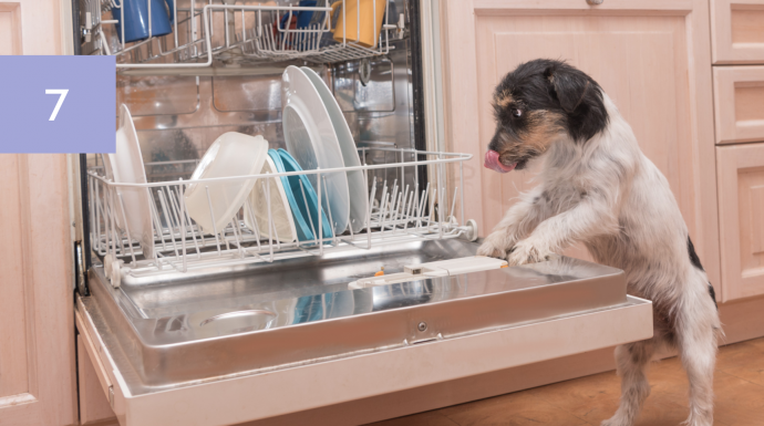 8 Handy Tips to Make Dishwasher Duty a Breeze
