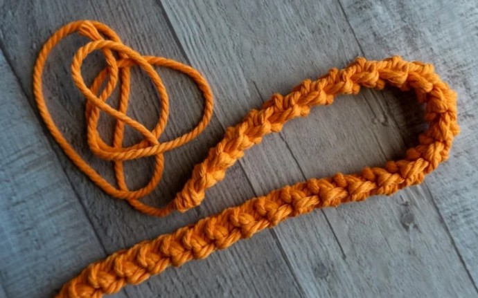 How to Crochet a Dog Leash