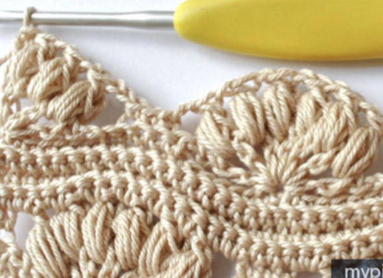 Crochet Dense Shell Stitch