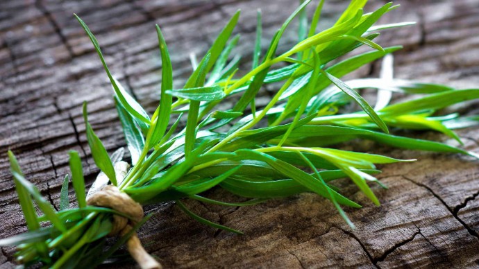 Guide to Fresh Herbs – Part 2