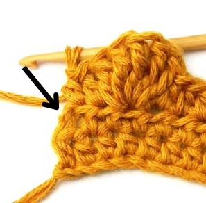 Chestnut Crochet Stitch Photo Tutorial