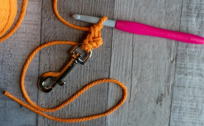 How to Crochet a Dog Leash