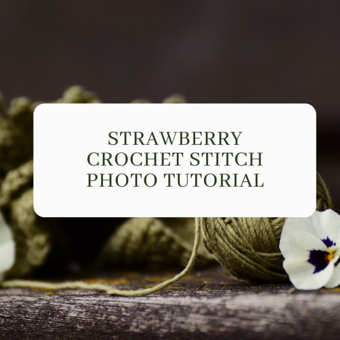 Strawberry Crochet Stitch Photo Tutorial