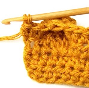 Chestnut Crochet Stitch Photo Tutorial