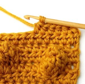 Chestnut Crochet Stitch Photo Tutorial