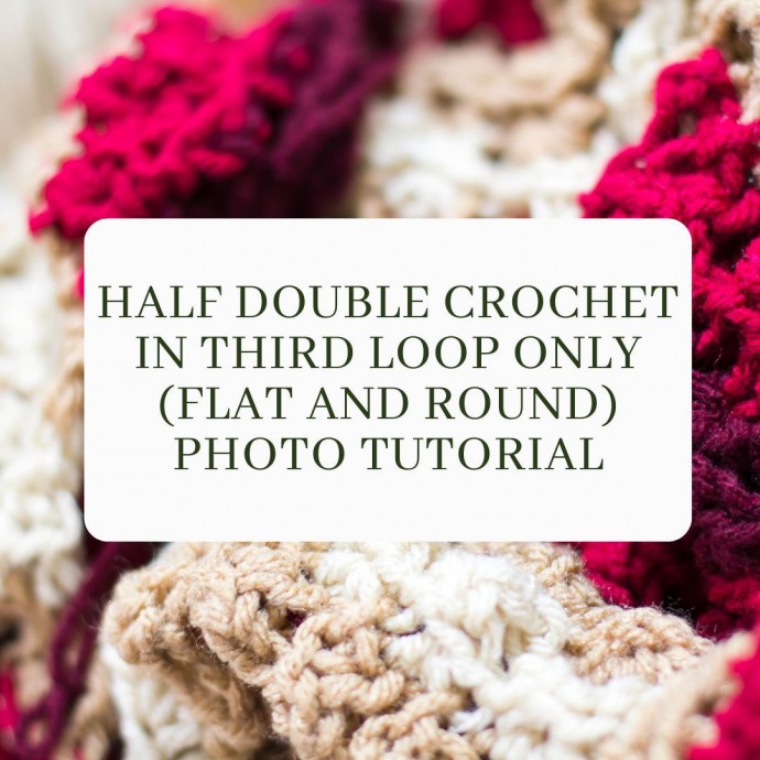 Half Double Crochet in Third Loop Only (Flat and Round) Photo Tutorial