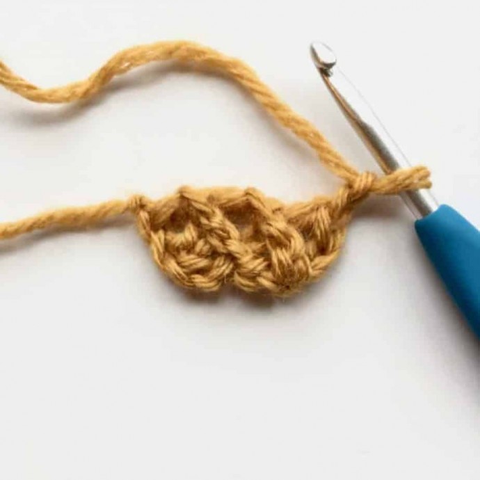 How to Crochet a Cord Photo Tutorial