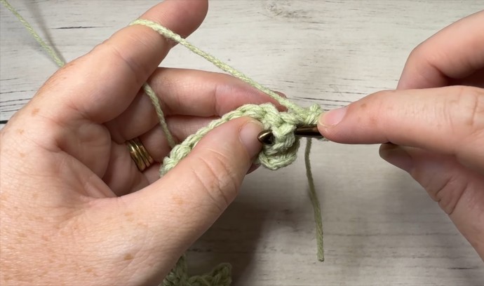 How to Crochet the Swallowtail Stitch Photo Tutorial