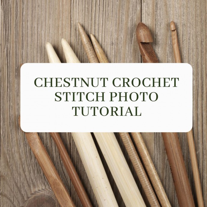 Chestnut Crochet Stitch Photo Tutorial