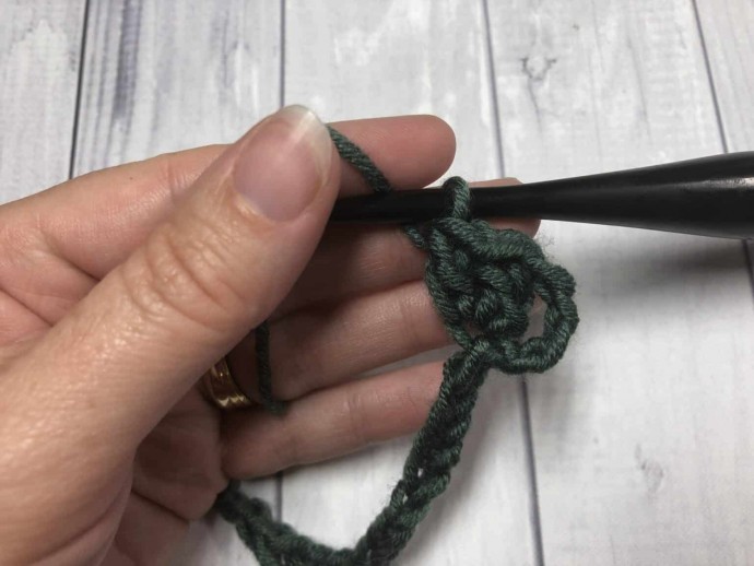 How to Crochet the Twin V Stitch Photo Tutorial