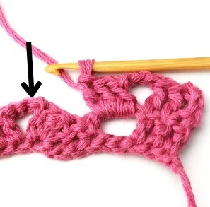 Braids and Columns Crochet Stitch Photo Tutorial