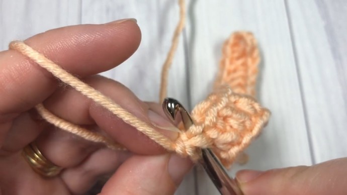 How to Crochet the Corded Ridge Stitch Photo Tutorial