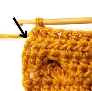 Chestnut Crochet Stitch Photo Tutorial