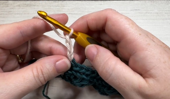 How to Crochet the Seashell Stitch Photo Tutorial