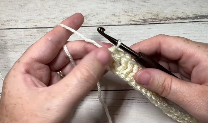 How to Crochet the Treads Stitch Photo Tutorial