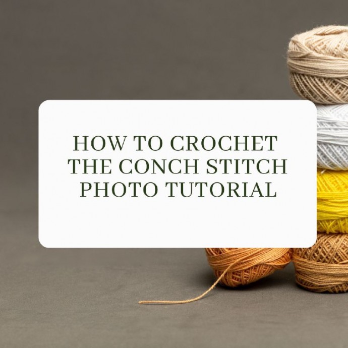 How to Crochet the Conch Stitch Photo Tutorial