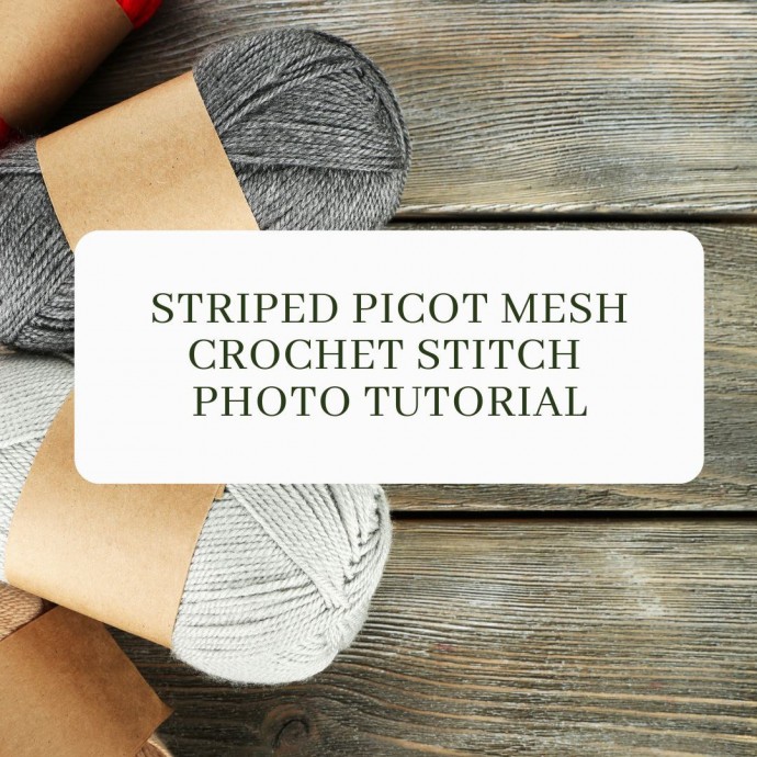 Striped Picot Mesh Crochet Stitch Photo Tutorial