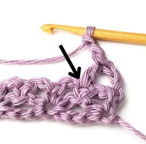 Verbena Crochet Stitch Photo Tutorial