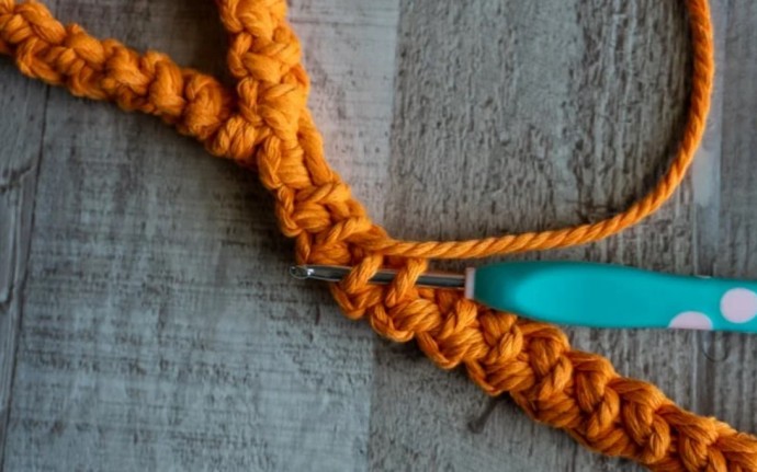 How to Crochet a Dog Leash