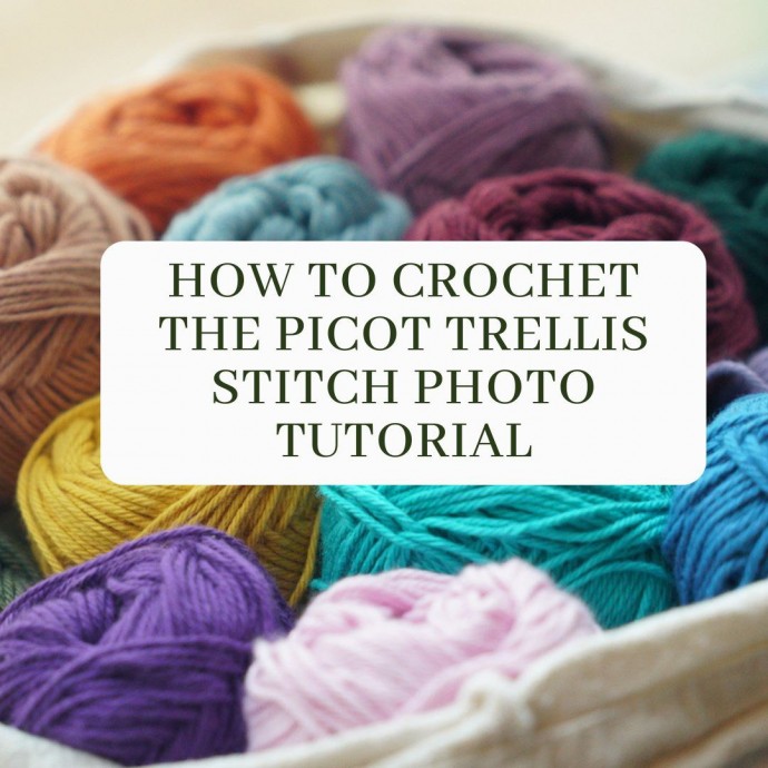 How To Crochet The Picot Trellis Stitch Photo Tutorial