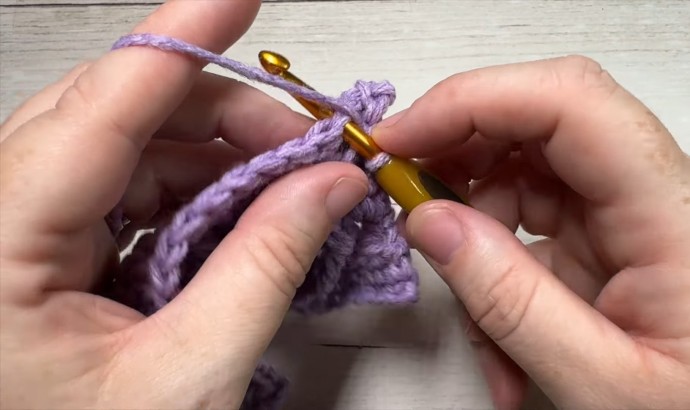 How to Crochet the ZigZag Cable Stitch Photo Tutorial