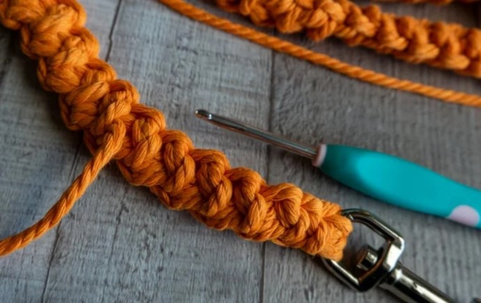 How to Crochet a Dog Leash