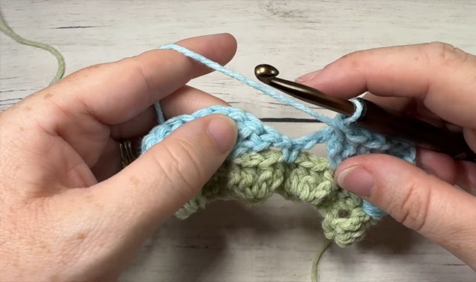 How to Crochet the Swallowtail Stitch Photo Tutorial