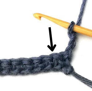 Blueberry Crochet Stitch Photo Tutorial