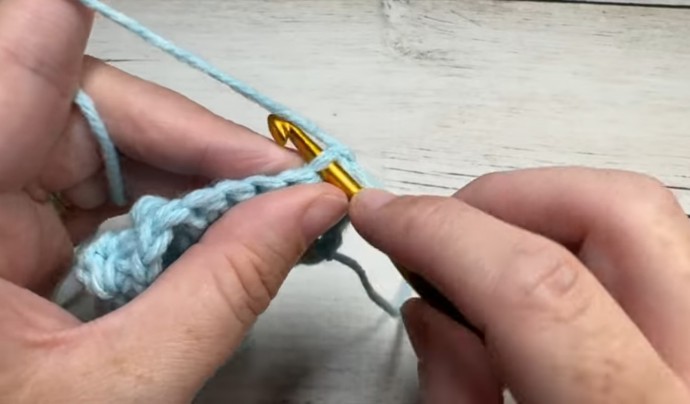 How to Crochet the Carousel Stitch Photo Tutorial
